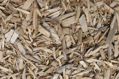 biomass boilers Stourpaine