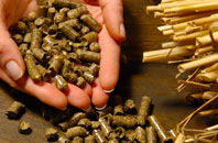 free Stourpaine biomass boiler quotes